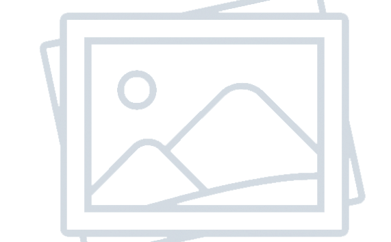 ÈB3 & E2 Immigrant Service